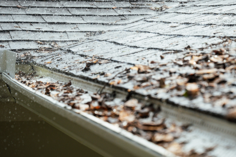 gutter cleaning and maintenance