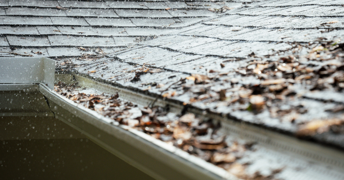 Gutter Cleaning and Maintenance: Crucial Steps for Homeowners in Pinellas County, Florida