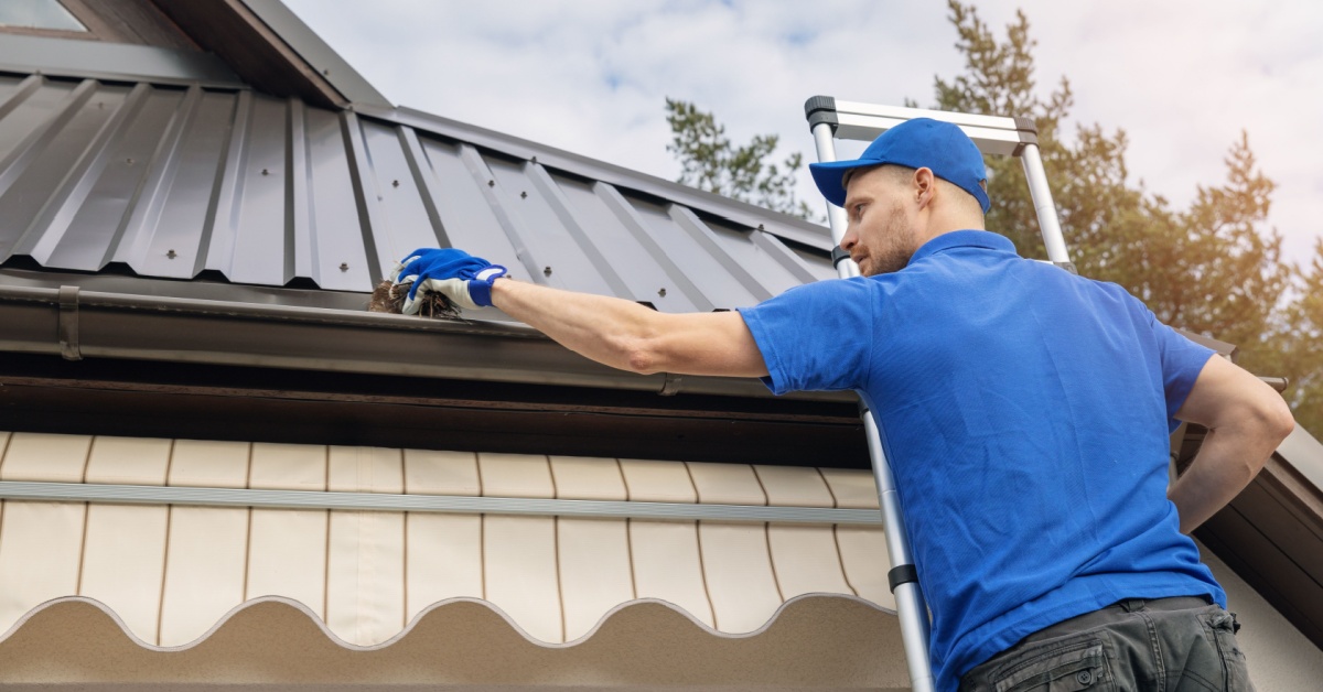 Maintaining Clean and Functional Gutters in Tampa, Florida