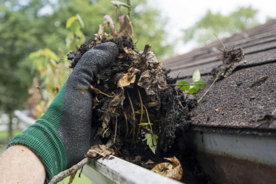 Tampa Bay Gutter Maintenance